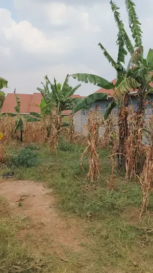 Land for Sale – Seeta, Bugoba (Bukerere Road)