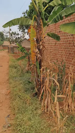 Land for Sale – Seeta, Bugoba (Bukerere Road)