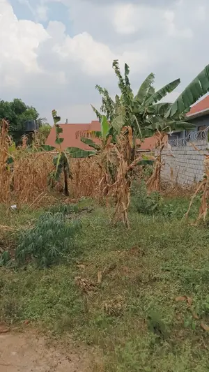 Land for Sale – Seeta, Bugoba (Bukerere Road)