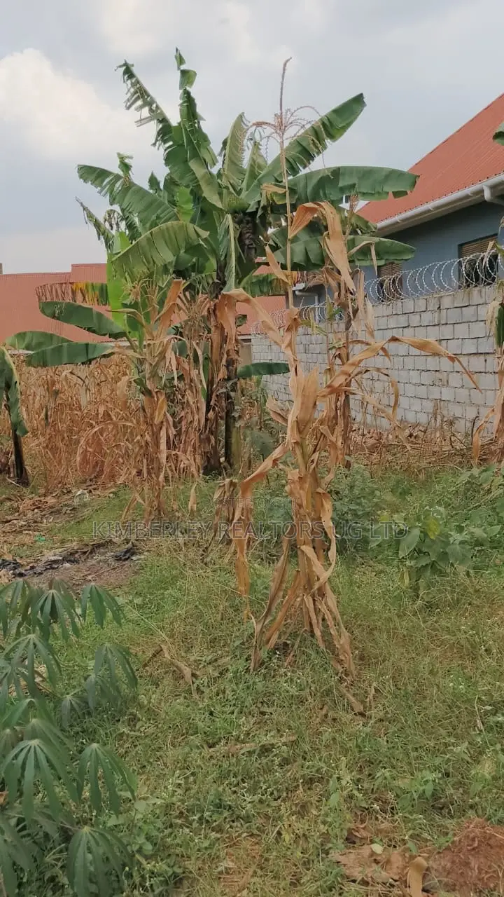 Land for Sale – Seeta, Bugoba (Bukerere Road)