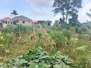 Quick Sale – 2 Prime Plots for Sale, Namugongo Joggo
