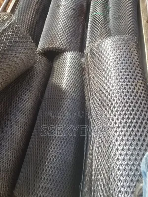 M.s Expanded Mesh