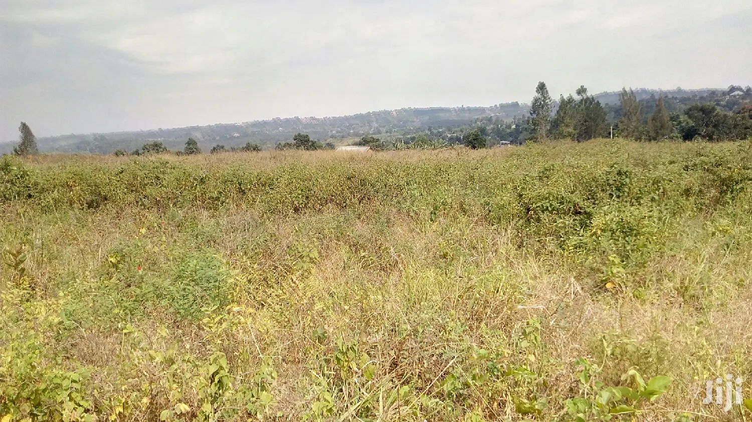 Land for Sale in Wakiso Gobero