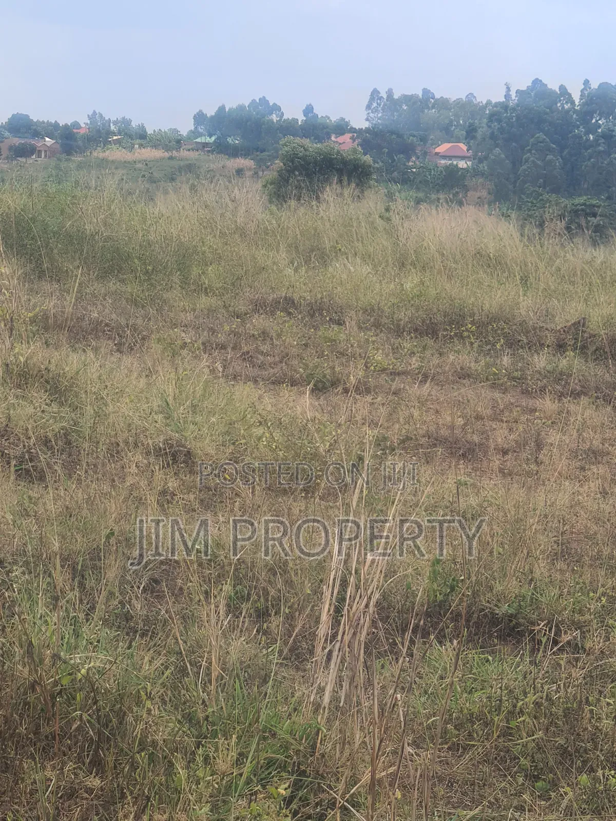 Land for Sale at Nateete Nsagu Nakawuka Road 50x100