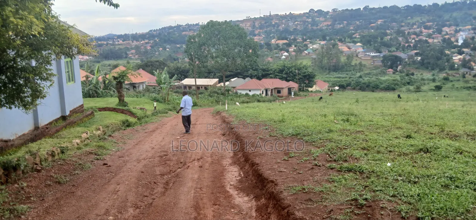 Several Plots on Sale at Buddo
