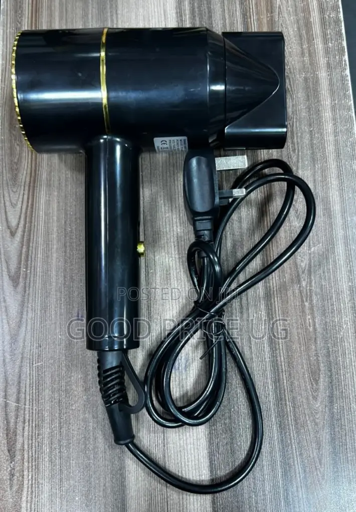 Panda PD-H8602 Portable Hair Dryer