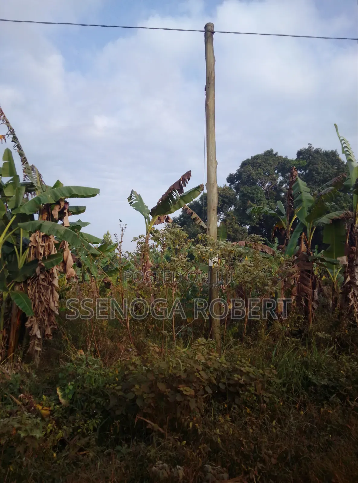 Masuliita Sub Country
