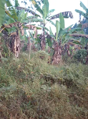 Masuliita Sub Country