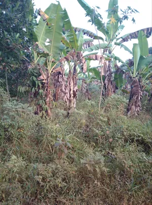 Masuliita Sub Country