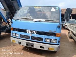 Isuzu Long Small Tyre