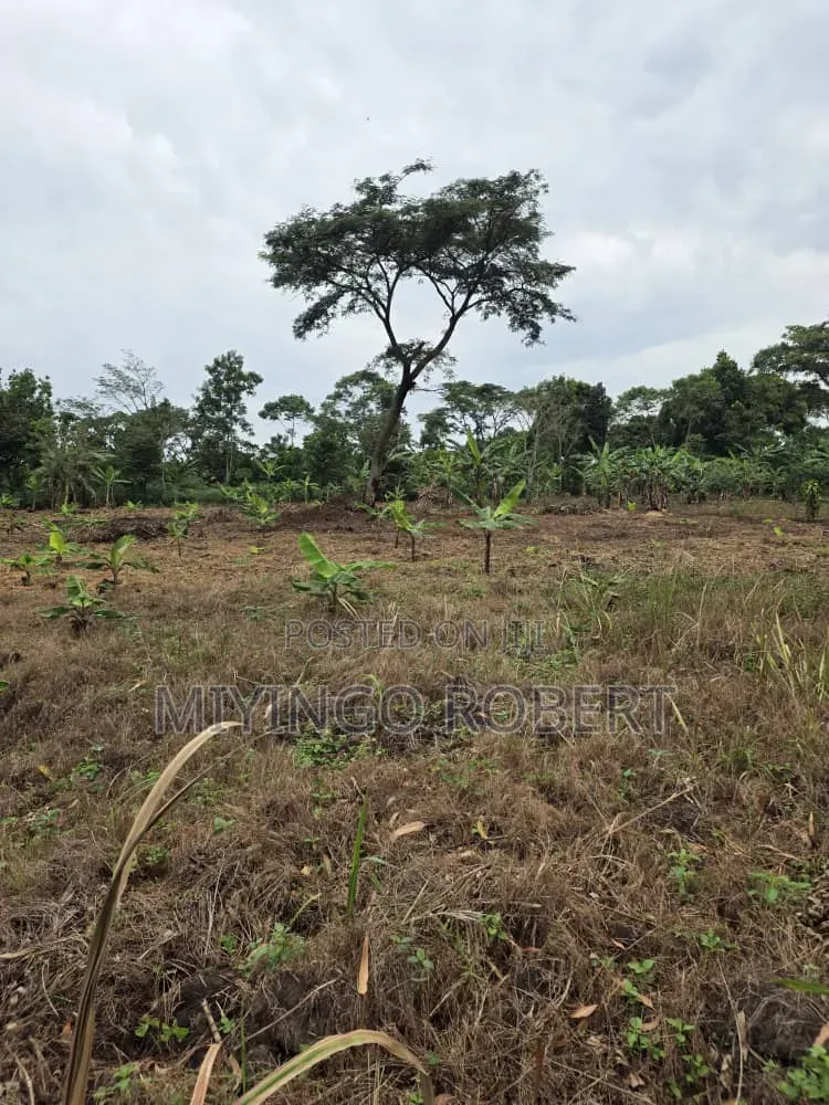Gayaza Plot