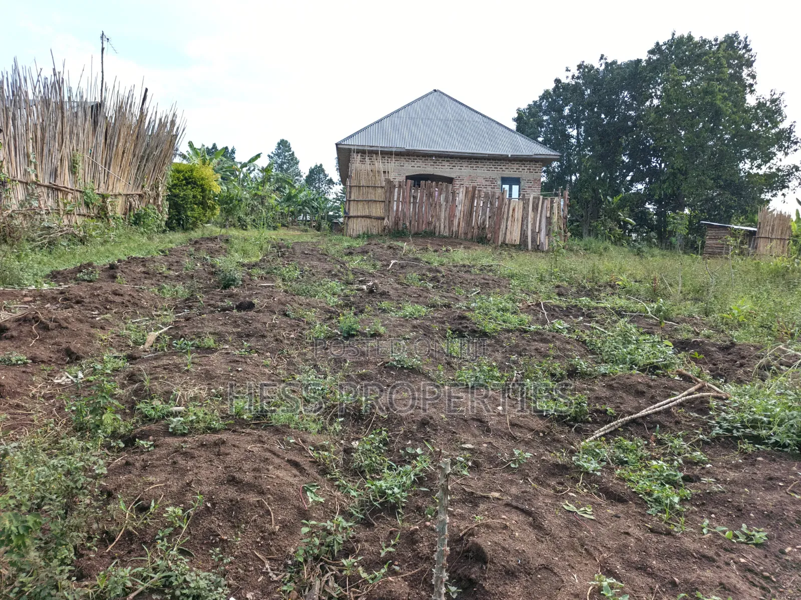 3bdrm Bungalow in Residential House, Kyenjojo for sale