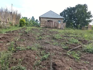 3bdrm Bungalow in Residential House, Kyenjojo for sale