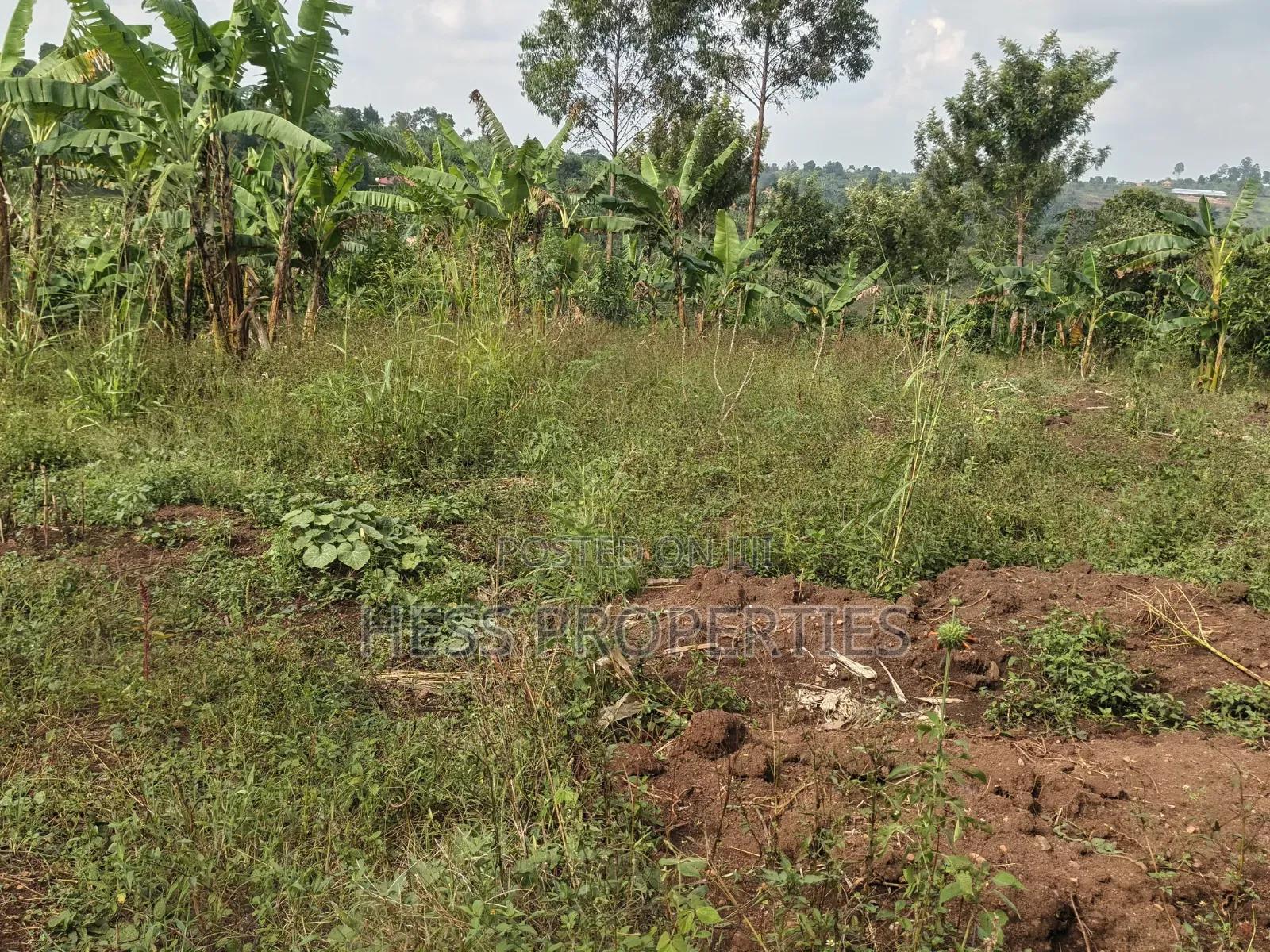 3bdrm Bungalow in Residential House, Kyenjojo for sale