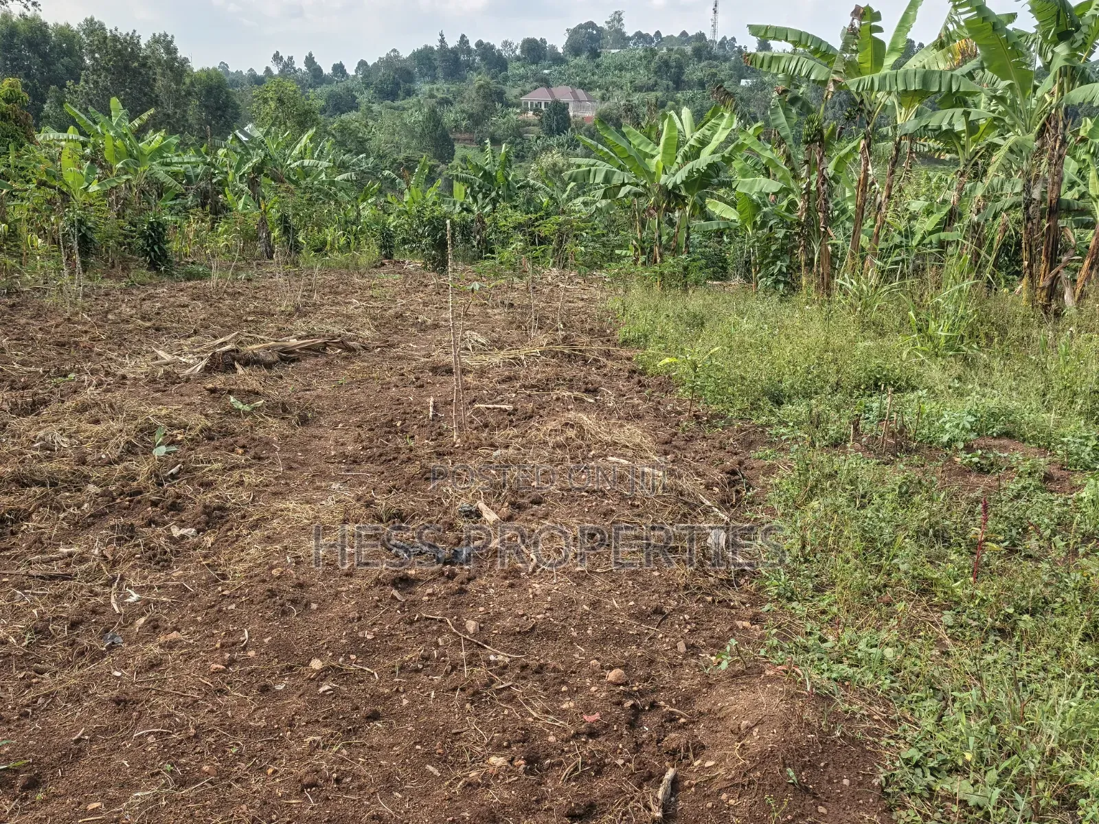 3bdrm Bungalow in Residential House, Kyenjojo for sale