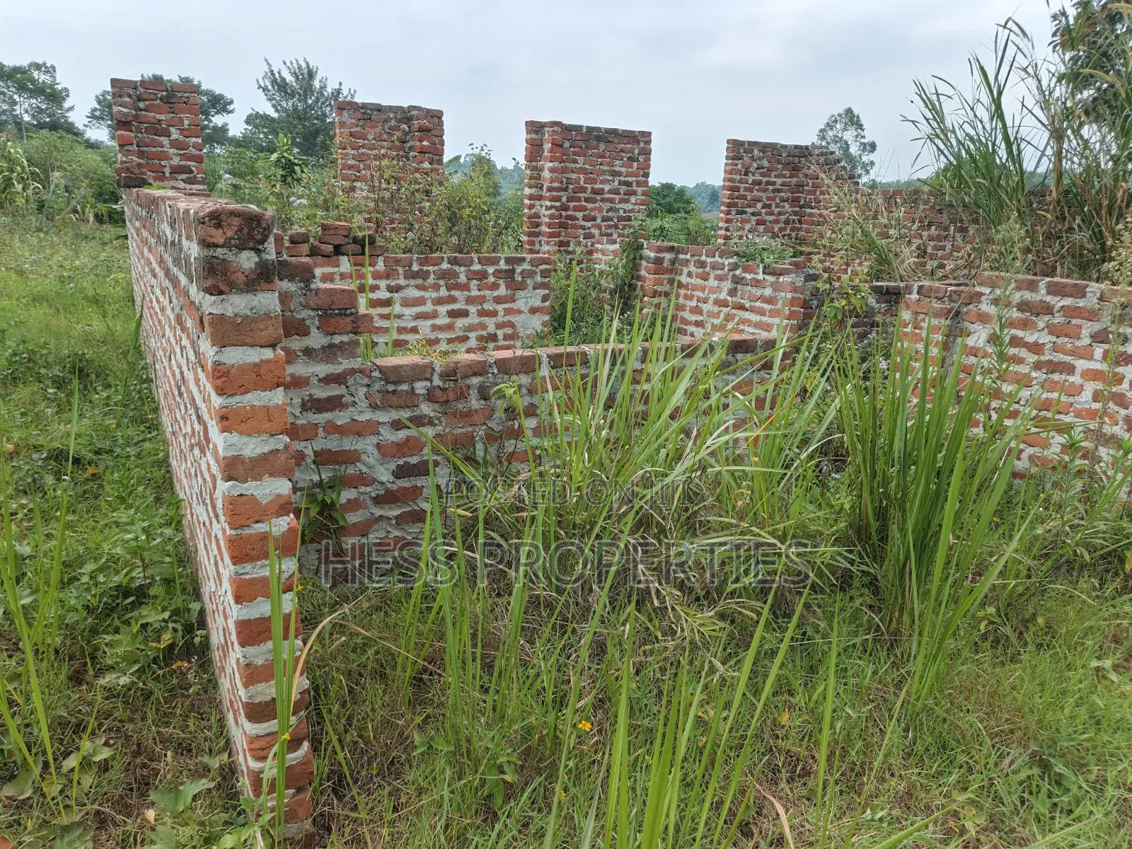 O.5acres of Land on Sale Located in Kasamba- Bugaaki Kyenjojo District