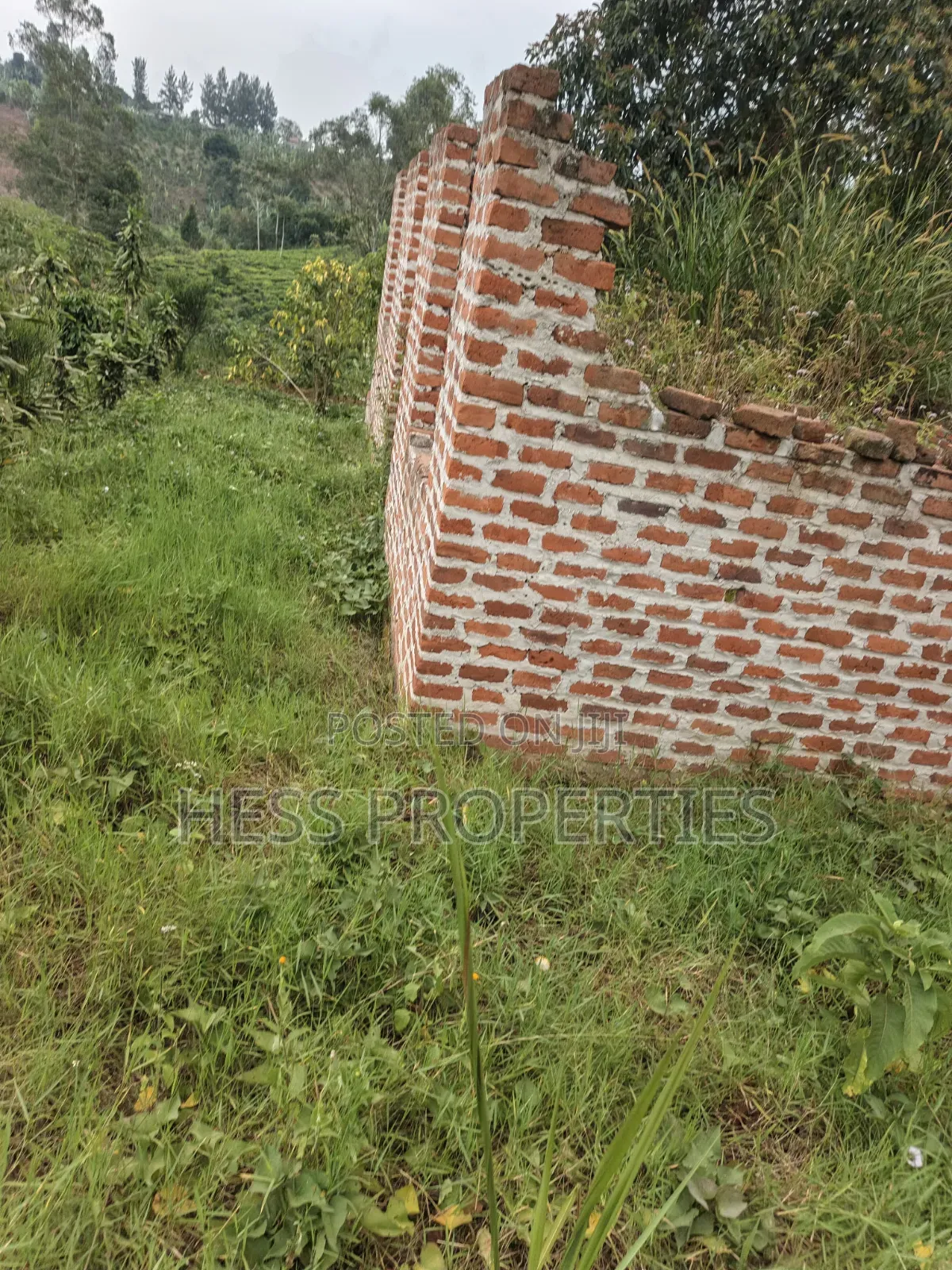 O.5acres of Land on Sale Located in Kasamba- Bugaaki Kyenjojo District