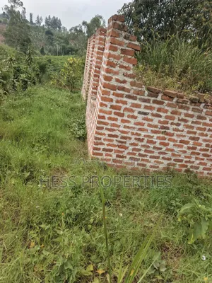 O.5acres of Land on Sale Located in Kasamba- Bugaaki Kyenjojo District