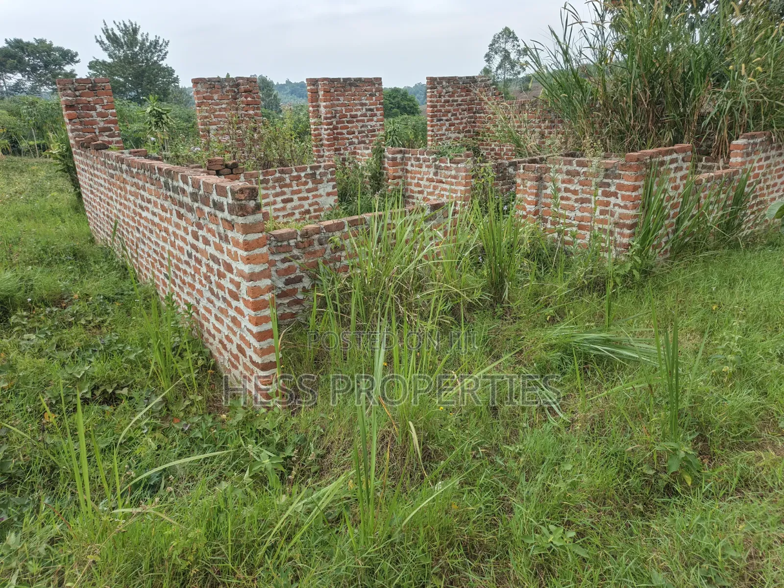 O.5acres of Land on Sale Located in Kasamba- Bugaaki Kyenjojo District