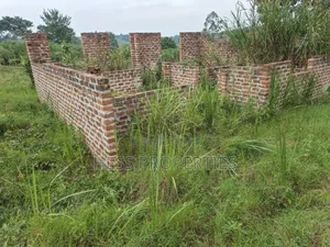 O.5acres of Land on Sale Located in Kasamba- Bugaaki Kyenjojo District