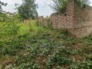 O.5acres of Land on Sale Located in Kasamba- Bugaaki Kyenjojo District