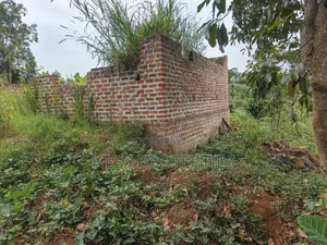 O.5acres of Land on Sale Located in Kasamba- Bugaaki Kyenjojo District