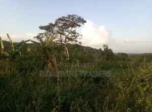 4.5 Hectares of Land for Sale