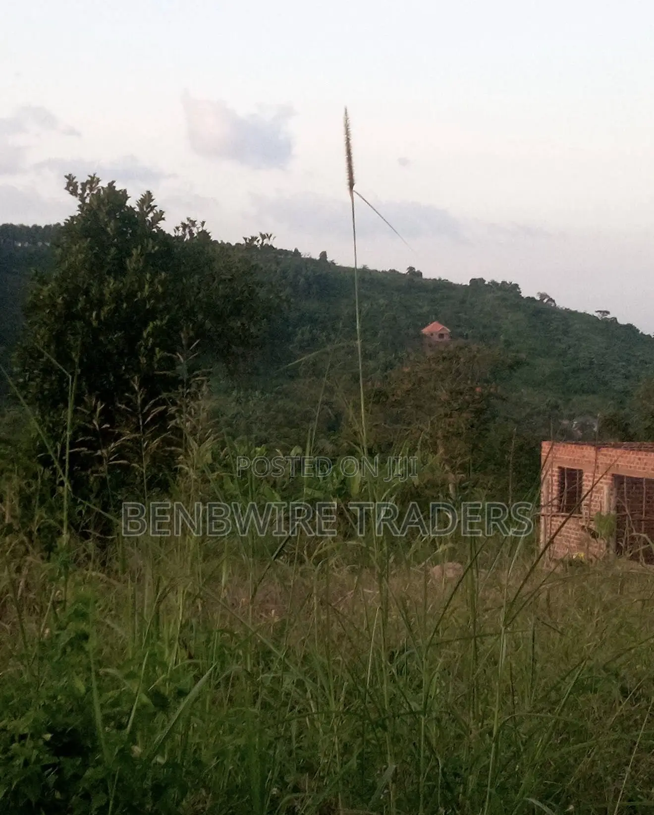 4.5 Hectares of Land for Sale