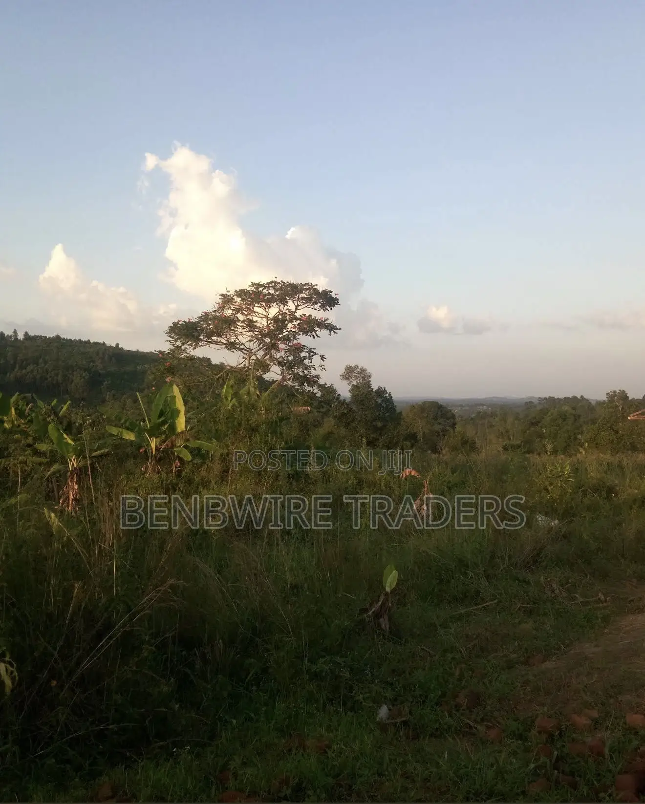 4.5 Hectares of Land for Sale
