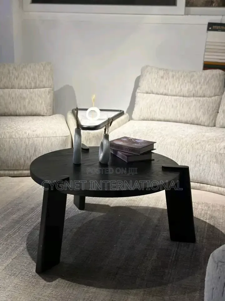 Stylish and Luxurious Sofa Set