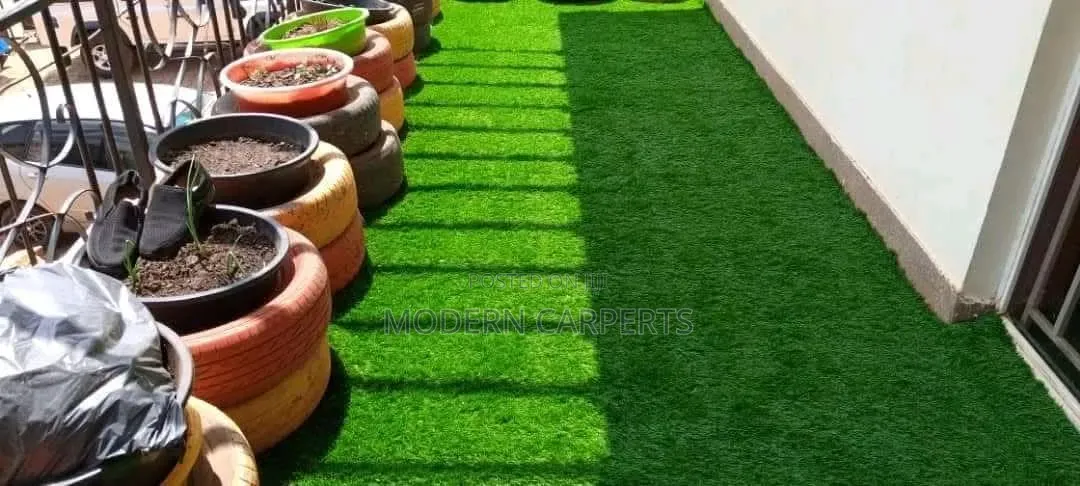 House Artificial Turf