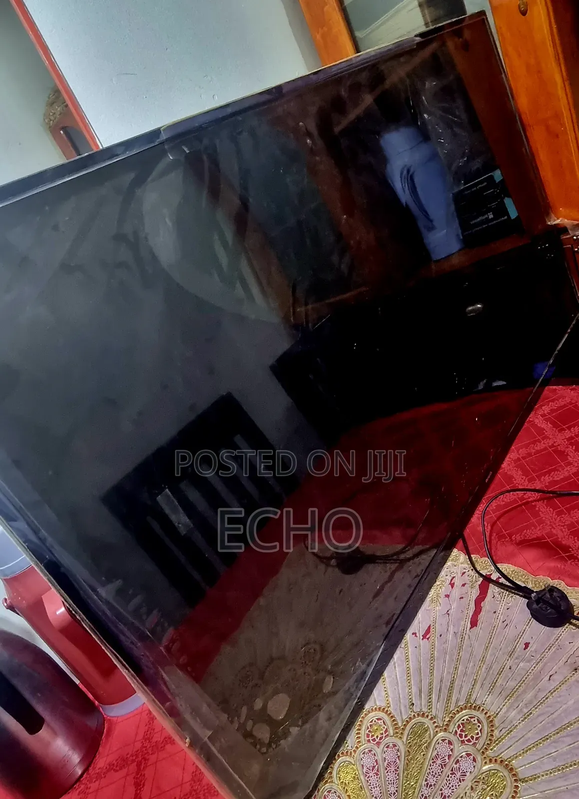 Television