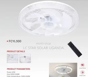 50W Fan Light