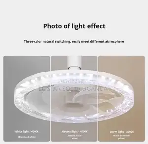 50W Fan Light