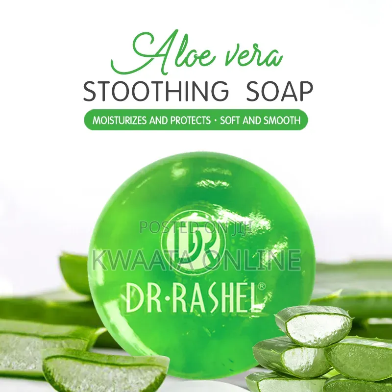 DR RASHEL Aloe Vera Moisturizing Soft and Smooth Skin Box Soap 100gr