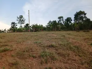 Plots for Sale – Gayaza, Kiwenda Kireka