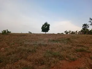 Plots for Sale – Gayaza, Kiwenda Kireka