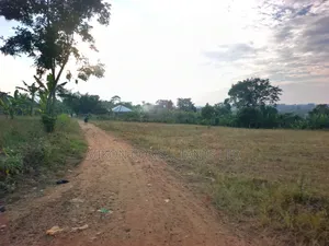 50 by 100 FTS Plot on Sale in Matuga Gombe
