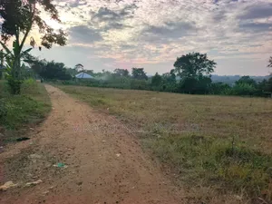 50 by 100 FTS Plot on Sale in Matuga Gombe