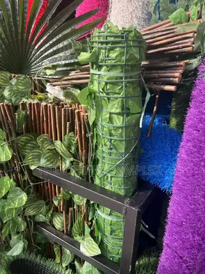 Balcony Plants Per Bunch