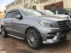 Mercedes-Benz M Class 2014 Gray