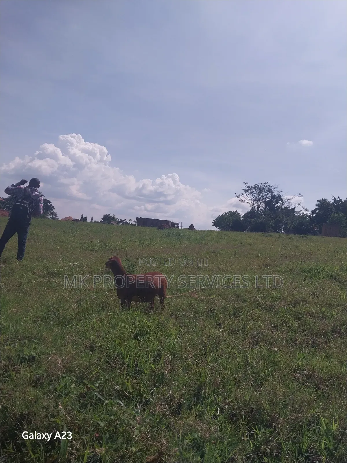 Genuine Titled Plot for Sale in Matugga Kavule