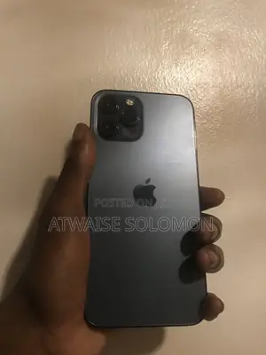 Apple iPhone 12 Pro Max 256 GB Blue