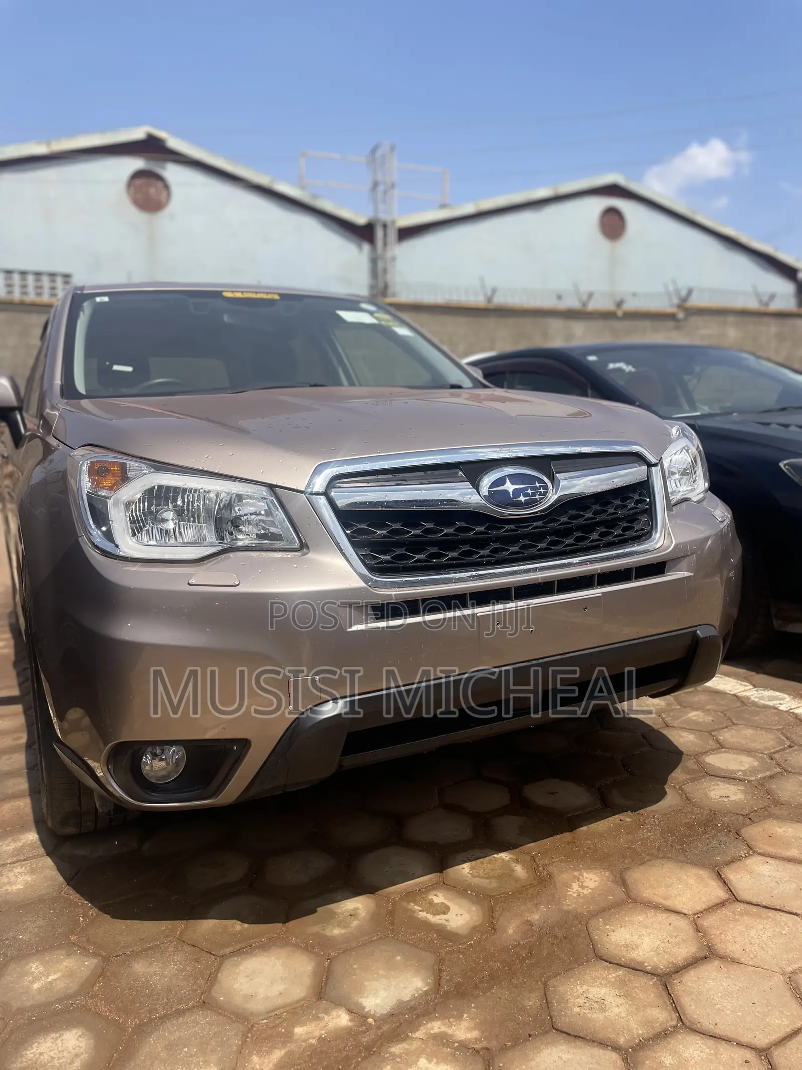 Subaru Forester 2.5i Premium PZEV 4dr SUV AWD (2.5L 4cyl 6M) 2015 Gold