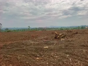 50 by 100 FTS Plots in Matuga Kavule at Only 14m Per Plot