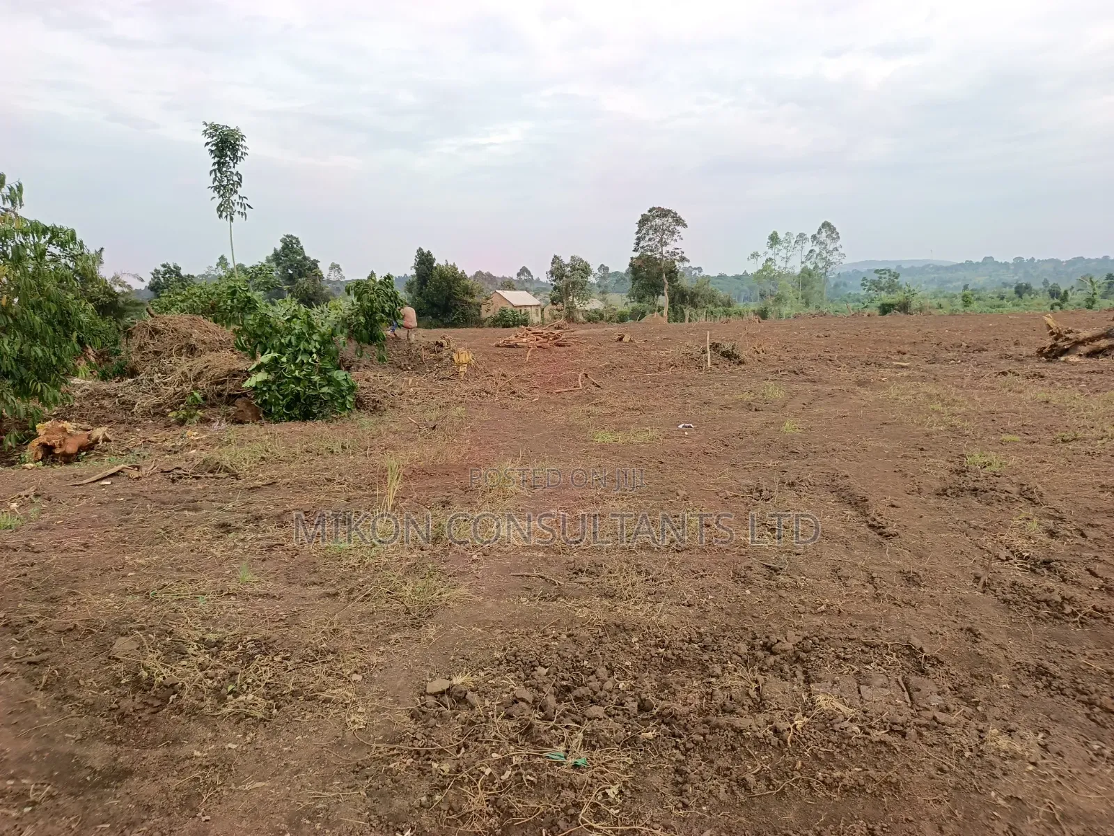 50 by 100 FTS Plots in Matuga Kavule at Only 14m Per Plot