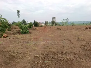 50 by 100 FTS Plots in Matuga Kavule at Only 14m Per Plot