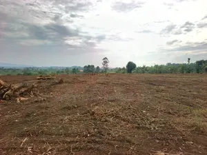 50 by 100 FTS Plots in Matuga Kavule at Only 14m Per Plot