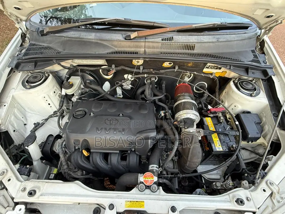 Toyota Probox 1.5 F 4WD 2015 White