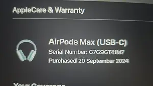 Airpods Pro Max